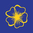 Buttercups logo